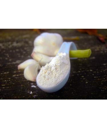 Naturix24 Garlic powder ground garlic 100g