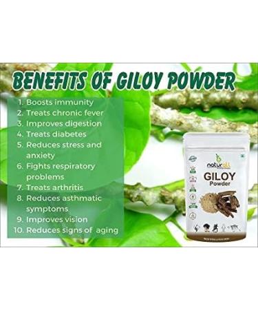 SHN Pack of 2 Tulsi Powder Giloy Powder (100 GM Each) Combo Pack 200 GM By B Naturall - Buy Online on GoSupps.com