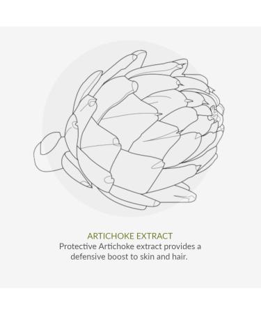 Green People Quinoa & Artichoke Conditioner 200ml | Vegan Silicone & SLS-Free | Natural Gloss for All Hair Types | Eco-Friendly Hair Care - Buy Online on GoSupps.com