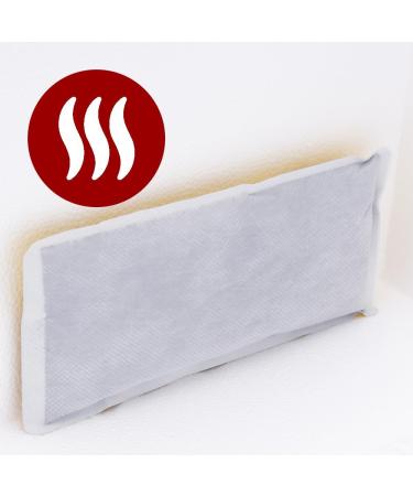 Terra Discount Aqua Pack - 72 Hour Heat Pack for Shipping Animals & Plants | Universal Warmer Heat Pad (100 Pieces) - Buy Online on GoSupps.com