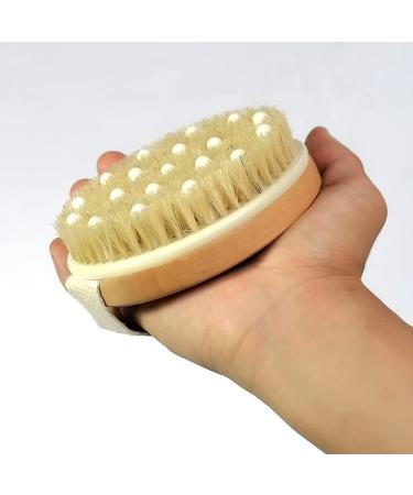 Natural Bristle Dry Body Brush for Lymphatic Drainage and Exfoliation - Stimulate Blood Circulation, Remove Toxins and Cellulite - Buy Online on GoSupps.com
