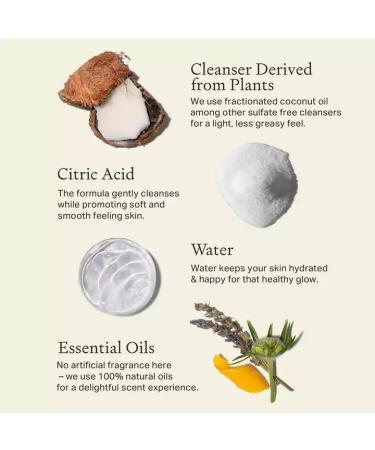 Each & Every Sensitive Skin Body Wash for Women & Men - Citrus & Vetiver - Moisturizing All Natural Body Wash & Shower Gel in Recyclable Packaging - Paraben, Sulfate & Cruelty-Free (10 Fl Oz) Cedar & Vanilla - Buy Online on GoSupps.com