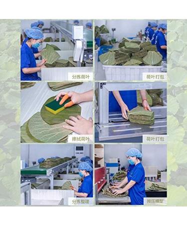 Infinitely Great Home Decor Center 500g dried lotus leaves for cooking Asian rice and food - Buy Online on GoSupps.com