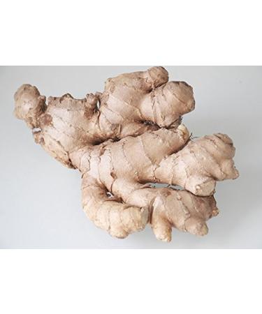 Organic Spicy Ginger Tea - Biomond 150g | Ayurvedic Ginger Root | Raw Food Quality | Soul Food from Bavaria - International Shipping - Buy Online on GoSupps.com