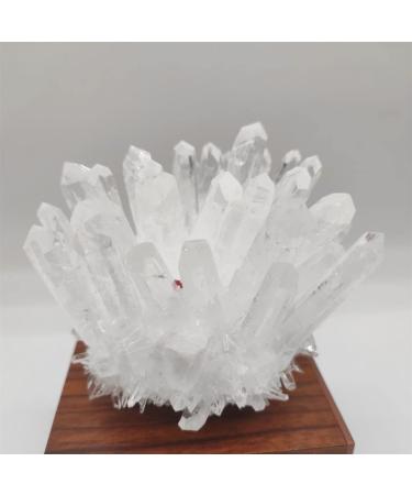 Natural Crystal 1pcs Natural Raw Quartz White Clear Crystal Cluster Stones Crystal Point Specimen Home Decoration Raw Crystals ERBDRGAZ (Size : 700-800g)