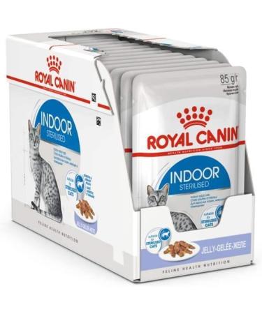 Royal Canin Indoor Sterilised Adult Wet Cat Food in Jelly 48 x 85g - Buy Online on GoSupps.com