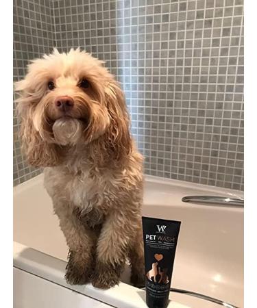 Pet Dog Shampoo for Itchy Skin Antifungal Dogs & Cats Shampoo Sensitive Skin. Ready to use. Skin Cooling First Aid | Skin Relief For Rashes Cuts Grazes Mange Skin Irritation - Buy Online on GoSupps.com
