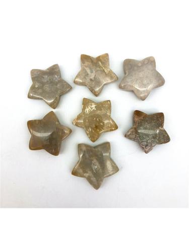 1 Piece Natural Coral Ammonite Star Crystal Stone Suitable for Home Chakra Reiki Balancing