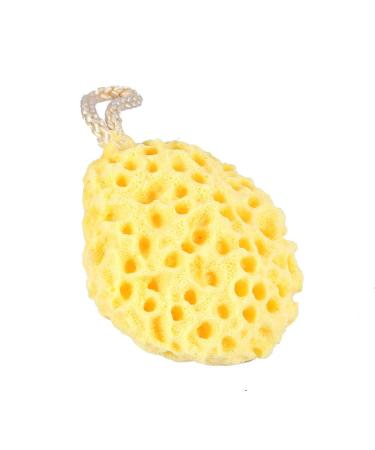Buy Asixx Hydrophilic Polyurethane Shower Sponge | Soft & Heat Resistant Bathing Sponge in 3 Colors - Easy to Wash & Dry - Buy Online on GoSupps.com