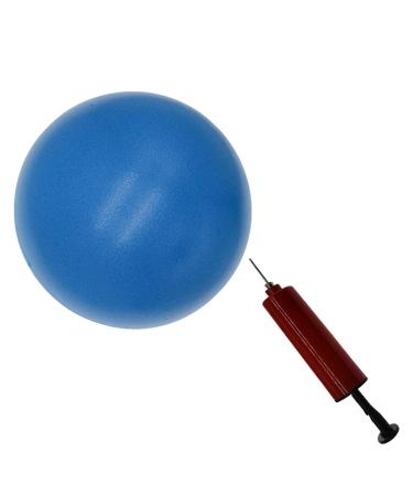 8 inch Exercise Ball, Small Exercise Ball Mini Yoga Ball, Pilates Ball 8 in with Needle Pump, Core Ball Barre Workout Anti Burst 8 Ball for Stability Physical Therapy Fitness blue
