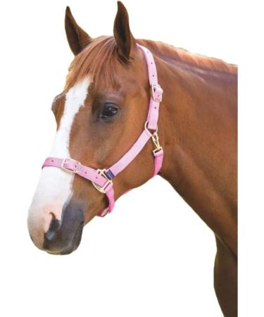 Shires Adjustable Pony/Horse Headcollar - Black Full Navy Full - Buy Online on GoSupps.com
