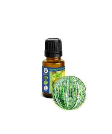 15ml (1/2oz) Birch Bud Essential Oil (Betula Pendula Silver European)