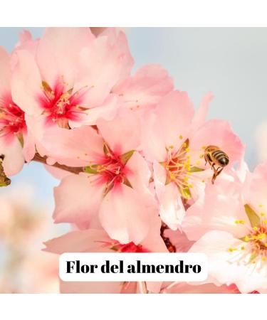 L'Abella Mel - 100% Natural Almond Blossom Honey | Pure Bee Honey - Hand Harvested on the Costa Blanca Spain - Gluten Free - 1000g - Buy Online on GoSupps.com