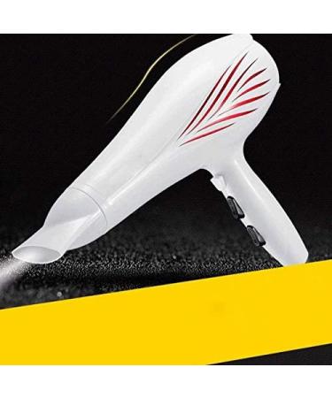 2000 Watt Compact Hair Dryer Dual Voltage Travel Hair Dryer Household Hair Dryer Hot and Cold Air Ion Hair Dryer/Black (White) - Buy Online on GoSupps.com
