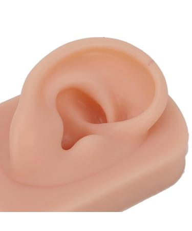 Realistic Dark Skin Silicone Human Ear Model for Acupuncture Training - Reusable & Flexible Right Ear Display - Buy Online on GoSupps.com
