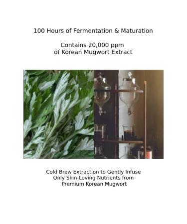 CHARMZONE Mugwort Cream The Original 1.69oz Deep Hydration & Soothing Moisturizer for Healthy Skin - Buy Online on GoSupps.com