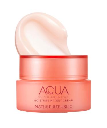 Nature Republic Super Aqua Max Moisture Watery Cream 2.7 Fl Oz_for Dry Skin