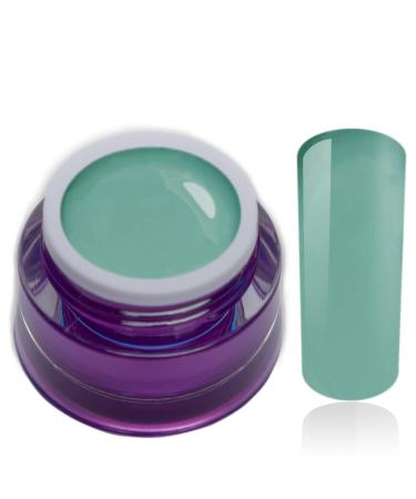 Color Gel Green Pastel Clover Spring Uv Led Nail Gel Studio Quality Color Gel RM Beautynails 1 Pack (1x 5ml)