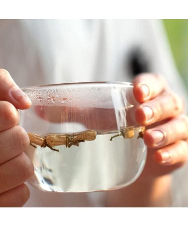 Plant Gift Dried Bergamot Flower 80G/2.82oz Citrus Bergamot Tea Citrus Medica Chinese Health Tea - Buy Online on GoSupps.com