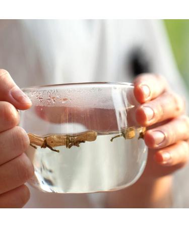 Buy Bergamot Flower Tea 80g | Natural Weight Loss & Skin Care Herbal Tea | Premium Chinese for Health Benefits - Buy Online on GoSupps.com