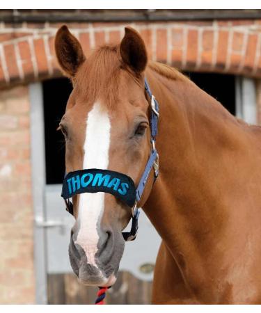 Personalised Headcollar/Head Collar/Bridle Cover. Padded Head collar cover. For nose band. Horse Pony Full Cob. COVER ONLY