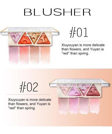 3PC concealer Natural Brightening Waterproof Sweat proof Pearlescent Powder powder blusher Highlight eye shadow Disk (Color : B02 Size : 3PC) 1 count (Pack of 1) B02 - Buy Online on GoSupps.com