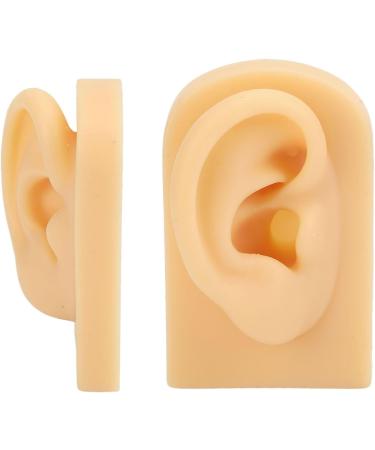 Silicone Ear Model Lifelike Artificial Silicone Ear Model Simulation Elastic for Display (Right) - Buy Online on GoSupps.com