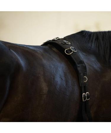 Horze Lunging Surcingle - Black Nylon - Pony Size - Buy Online on GoSupps.com