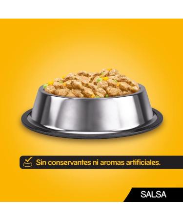 PEDIGREE Pouch - Chicken Beef and Vegetables in Gravy - Wet Food for Adult Dogs - 13 Multipacks of 4 x 100g Bags - Buy Online on GoSupps.com