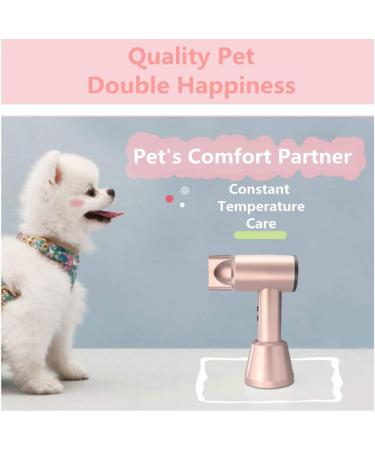 Cordless Hair Dryer Wireless Portable Blow Dryer Fast Charge 5000mAh Rechargeable Battery with Charge Base 3 Hot Wind /3 Cold Wind for Art Painting/Outdoor/Travel Champagne Gold - Buy Online on GoSupps.com