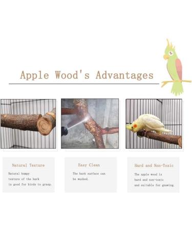 Nynelly Bird Swing for Pets - Natural Wood Parrot Cage Toy for Canaries & Small Birds - Buy Online on GoSupps.com