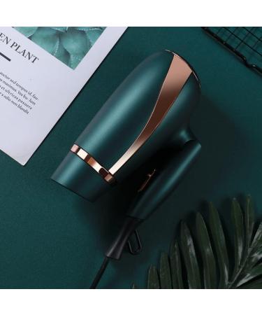 Hair Dryer Professional Ionic Hairdryer 2300W Salon Fast Blow Dryers 3 Heat 2 Speed Settings and Cool Shot Button Low Noise Powerful AC Motor with Hair Nozzle for Home and Salon Brown Small Gift Green - Buy Online on GoSupps.com