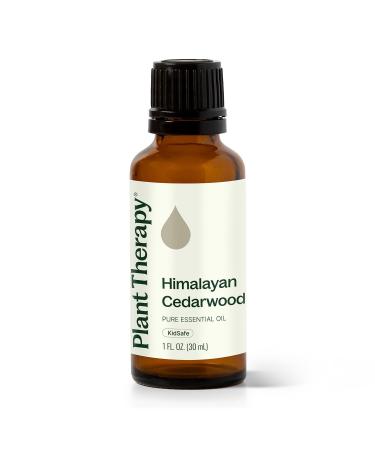 Plant Therapy Himalayan Cedarwood Essential Oil 30 mL (1 oz) 100% Pure Undiluted Refreshing Aromatherapy for Mental Focus and Clear Cedarwood 1 Fl Oz (Pack of 1)