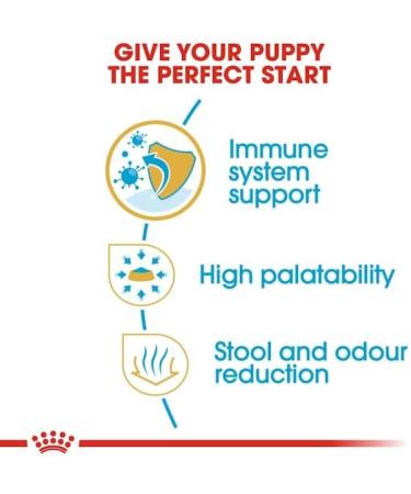 Royal Canin Chihuahua Junior Dog Food 0.5 kg - Buy Online on GoSupps.com