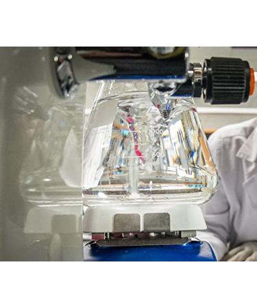 C60 Acne Serum 30ml | Organic Anti-Aging & Anti-Acne with Aloe Rose MSM CoQ10 | Vitamins B3 & B5 for All Skin Types - Buy Online on GoSupps.com