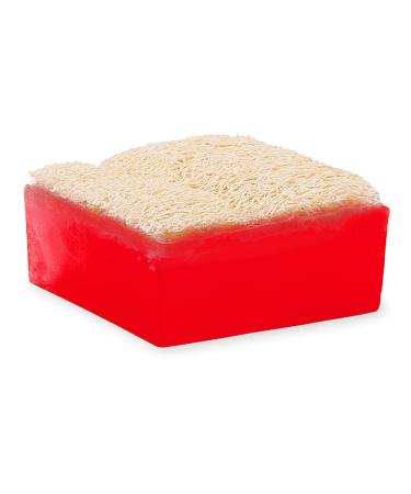 Primal Elements Watermelon Loofah Bar Soap 5 oz - Exfoliating Bath Soap - Buy Online on GoSupps.com