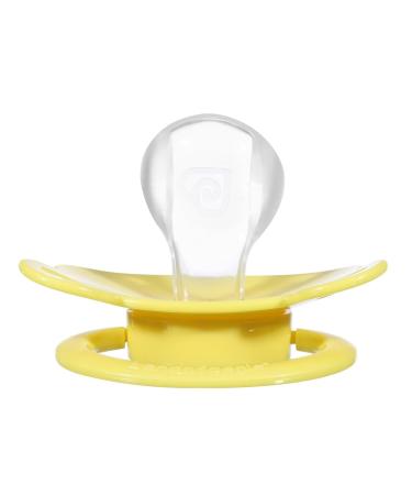 Landofgenie Adult Pacifier Large Teat Shield - 3 Pack Blue White & Yellow Bear Shaped - Perfect for Comfort & Style - Buy Online on GoSupps.com