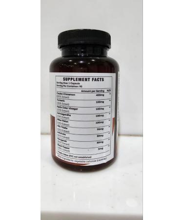 All-in-1 1000mg Highest Potency Ceylon Cinnamon Turmeric Apple Cider Vinegar Ashwagandha Bitter Melon with Milk Thistle Artichoke & Fenugreek - Gluco Health Support - 90 Vegan Capsules - Buy Online on GoSupps.com