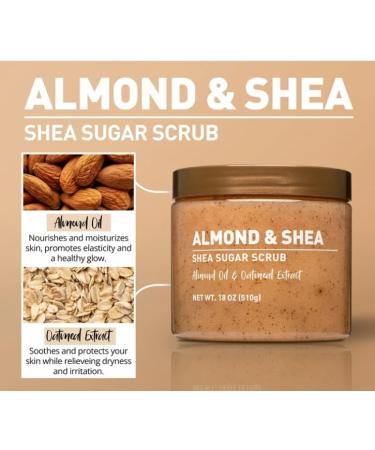 Almond & Shea Sugar Body Scrub with Almond Oil and Oatmeal Extract 18 oz - Buy Online on GoSupps.com