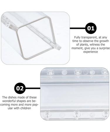 GANAZONO 3pcs Cucumber Mold Square Cucumber Growing Molds Solar Water Fountain Stereotypes Pp Ginseng Fruit - Buy Online on GoSupps.com