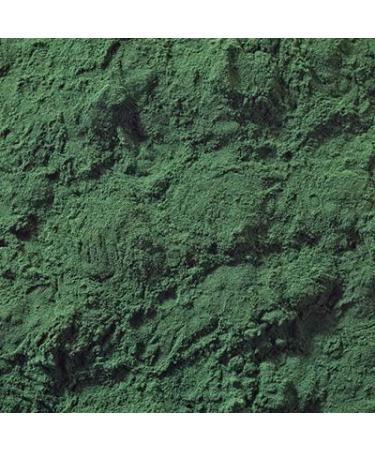 1kg Chlorella Powder - 100% Natural Additive-Free Broken Cell Walls Gentle Low-Temperature Processing | International Shipping - Buy Online on GoSupps.com