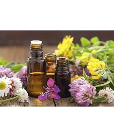 Cedar Bear Intestinal Cleanse a Liquid Herbal Supplement That Moderates The Environment of The Digestive System Allowing Beneficial Flora to Flourish 2 Fl Oz 2 Fl Oz (Pack of 1) - Buy Online on GoSupps.com