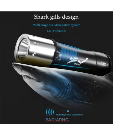 2 Pack 1200 Lumens Diving Flashlight | IPX8 Waterproof Dive Light with L2 LED Torch | Rechargeable Power | Ideal for Scuba, Snorkeling, and Underwater Sports - Buy Online on GoSupps.com