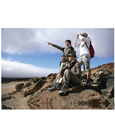 Coleman Premium Powerhouse Dual Fuel Lantern - Bright and Reliable Lighting for Outdoor Adventures - Buy Online on GoSupps.com