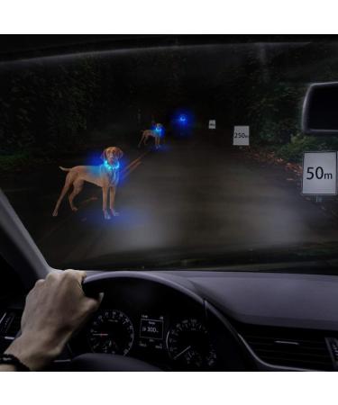 Laroo LED Dog Collar - USB Rechargeable Night Safety Luminous Collar for Small Medium Large & Long-Haired Dogs - 3 Modes 65cm x 2.5cm Blue - Buy Online on GoSupps.com