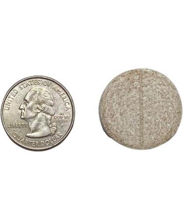 Bari Life Just One Chewable, Once Daily Bariatric Multivitamin and Iron - Buy Online on GoSupps.com