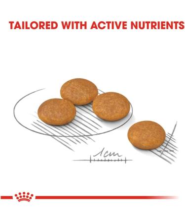 Royal Canin Adult Mini Dermacomfort Dry Dog Food 3kg - Buy Online on GoSupps.com