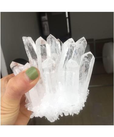 700-750g Natural Clear White Quartz Point Crystal Cluster Specimen 1PCS Home Collections - Buy Online on GoSupps.com
