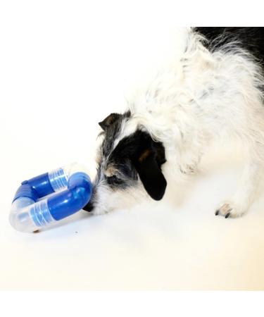 Outward Hound Planet Dog Orbee-Tuff Snack Ball for Dogs | Royal Blue Links - Premium Dog Toy | International Shipping Available - Buy Online on GoSupps.com