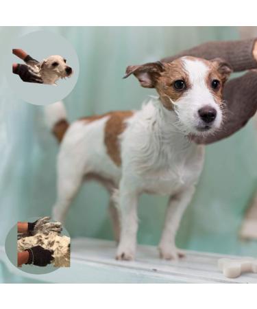 Flea Shampoo for Dogs and Flea Comb Bundle Premium Anti-Flea Dog Cleaning Products Pet Home Treatment for Fleas Natural Ingredients Deep Cleansing and Grooming Kit Easy to Use - Buy Online on GoSupps.com